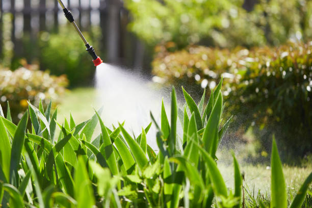 24/7 Emergency Cockroach Control experts in Sallisaw, OK