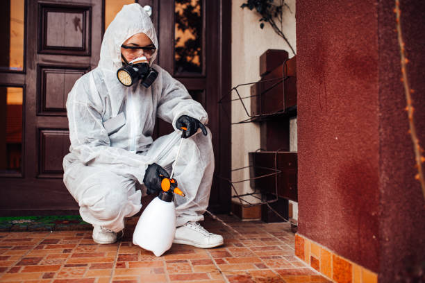 Reliable Cockroach Control contractor in Sallisaw, OK by Nex Pest Control